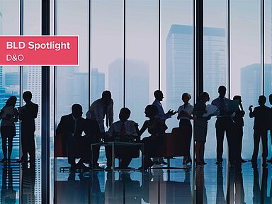 BLD Spotlight – D&O-Deckung im Lichte zunehmender Insolvenzen – Haftung für masseschmälernde Zahlungen