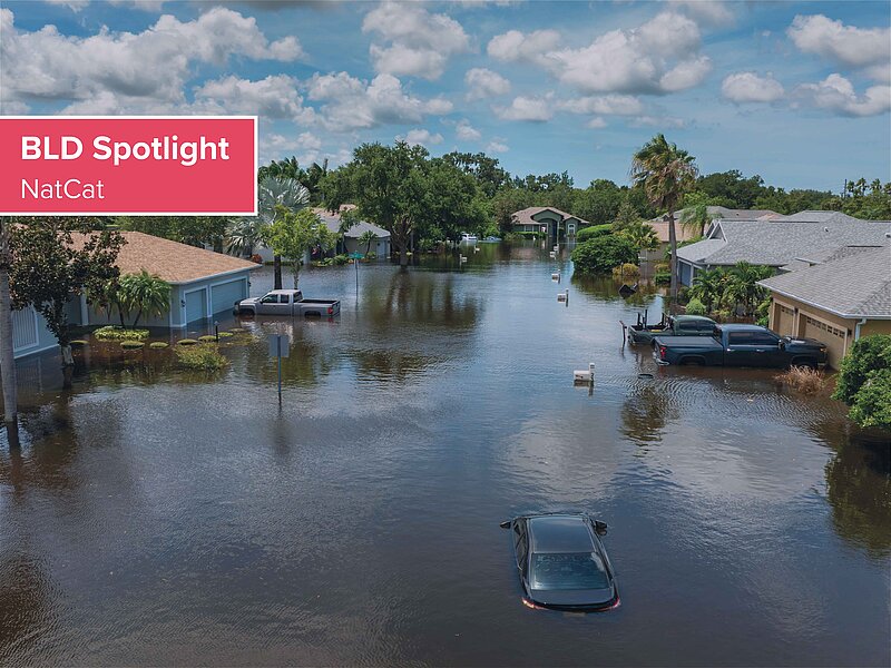 Standardfoto der "BLD Spotlight"-Rubrik "NatCat". Es ist eine überschwemmte Wohnsiedlung zu sehen, Häuse und Autos stehen unter Wasser.  