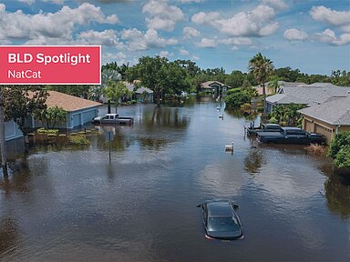 BLD Spotlight – Ein Jahr Koalitionsvertrag der Bundesregierung zur Elementarschadenversicherung