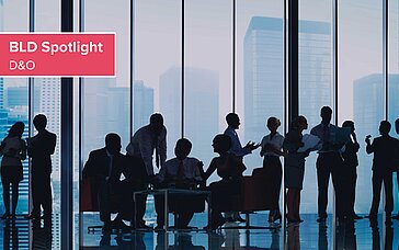 BLD Spotlight – Trend hin zu Direktprozessen gegen D&O-Versicherer