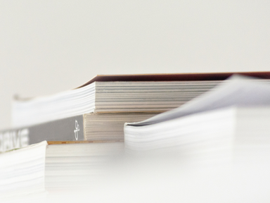 Besonderheiten der Prozessführung im Versicherungsrecht und Recht der Versicherungsaufsicht von Mittendorf in 5. Auflage erschienen