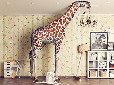 Matz und Böhmer gehen auf Fragen der Haftung und Deckung rund um das Tier ein