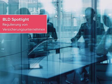 BLD Spotlight – Umsetzung der IRRD